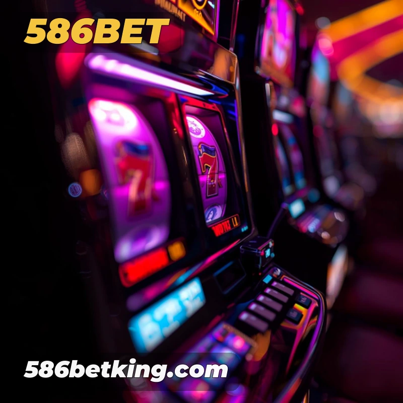 586bet Salvador - Statistics